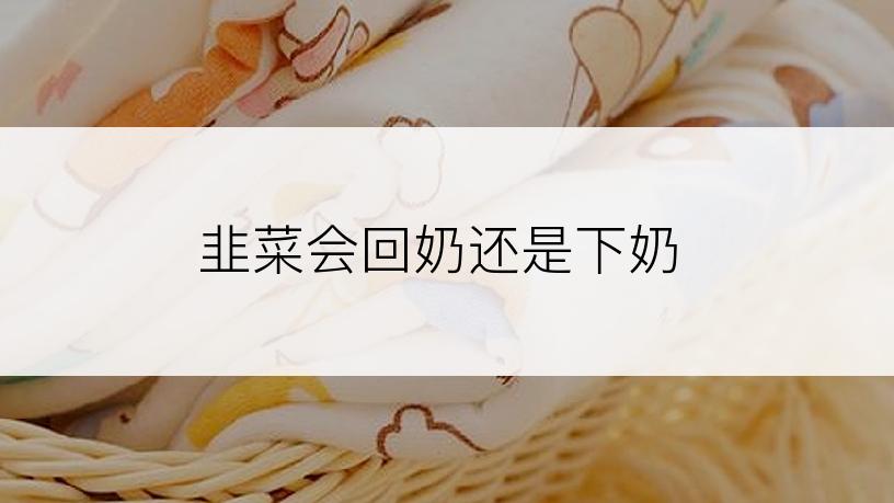 韭菜会回奶还是下奶