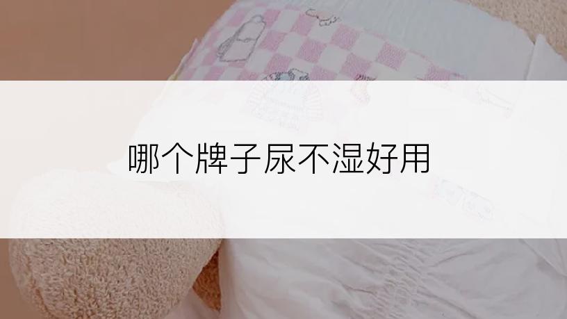 哪个牌子尿不湿好用