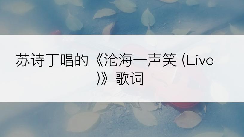 苏诗丁唱的《沧海一声笑 (Live)》歌词
