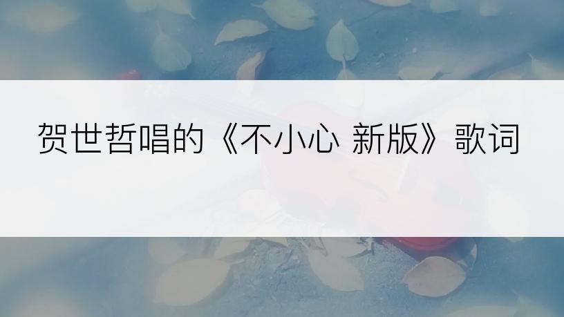 贺世哲唱的《不小心 新版》歌词
