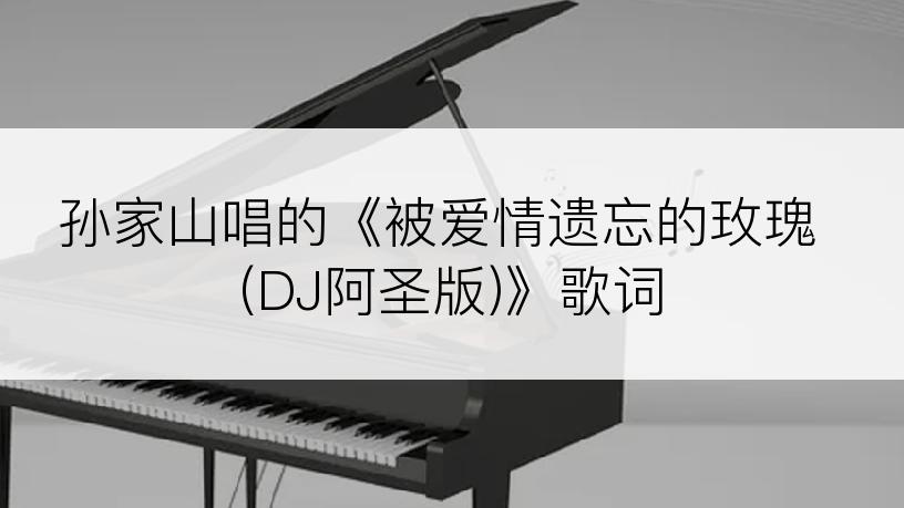 孙家山唱的《被爱情遗忘的玫瑰 (DJ阿圣版)》歌词