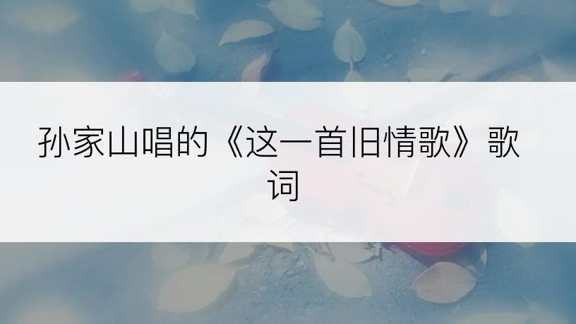 孙家山唱的《这一首旧情歌》歌词