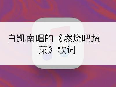 白凯南唱的《燃烧吧蔬菜》歌词