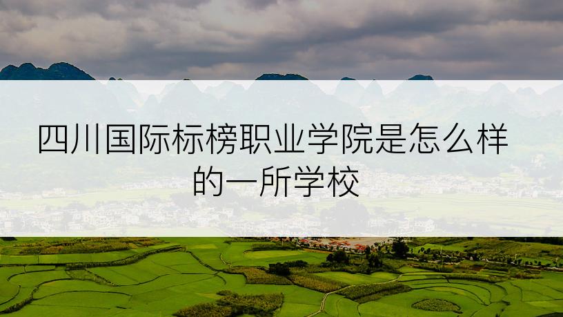 四川国际标榜职业学院是怎么样的一所学校