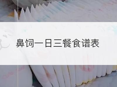 鼻饲一日三餐食谱表