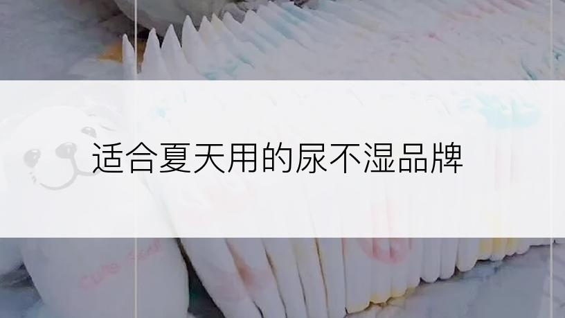 适合夏天用的尿不湿品牌