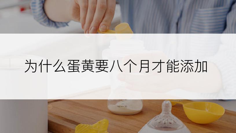 为什么蛋黄要八个月才能添加