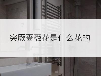 突厥蔷薇花是什么花的