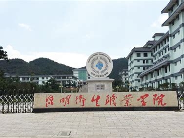 昆明艺术职业学院是怎么样的一所学校