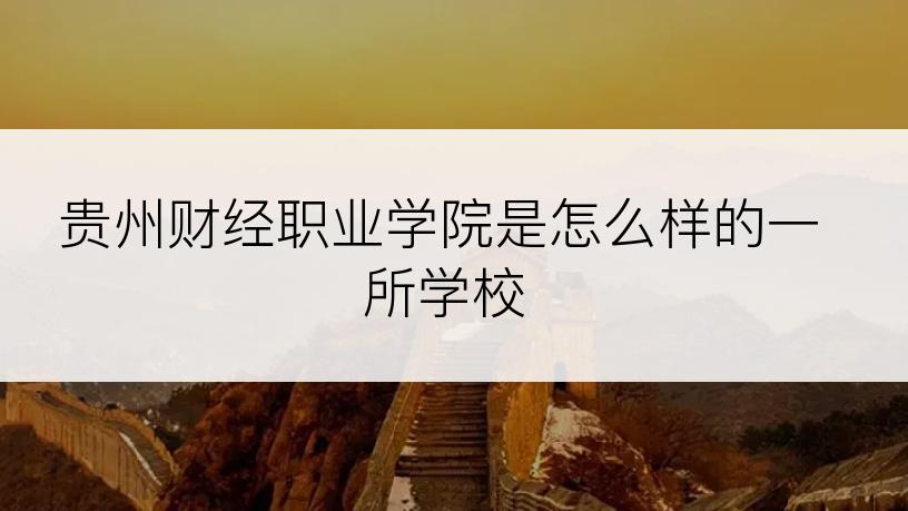 贵州财经职业学院是怎么样的一所学校