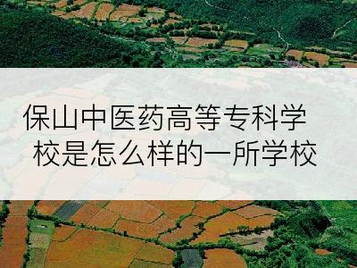 保山中医药高等专科学校是怎么样的一所学校