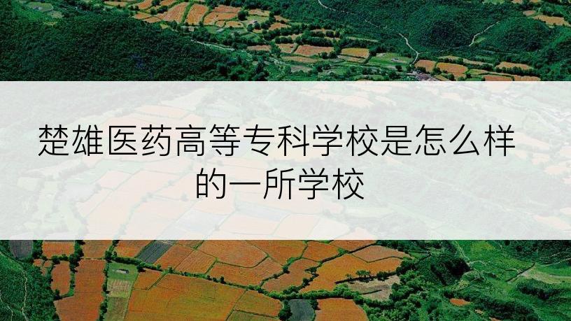 楚雄医药高等专科学校是怎么样的一所学校