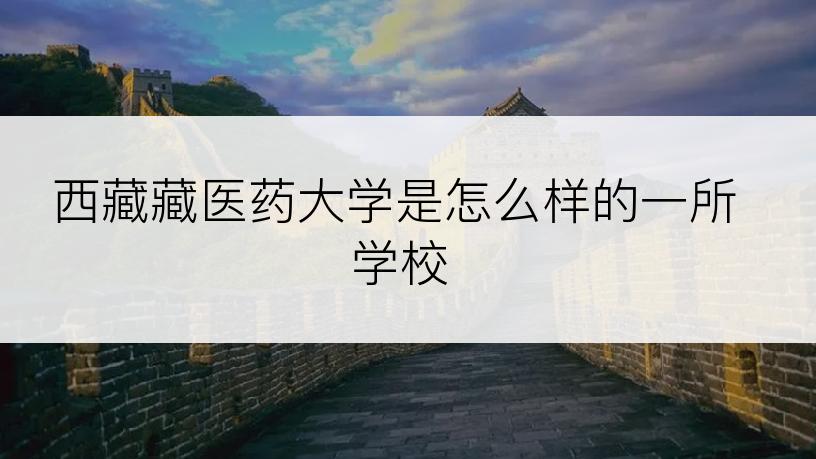西藏藏医药大学是怎么样的一所学校