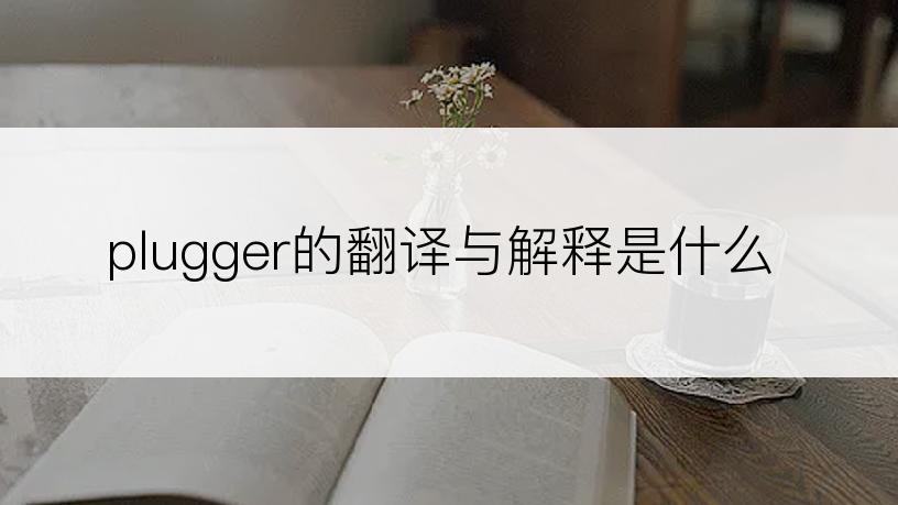 plugger的翻译与解释是什么