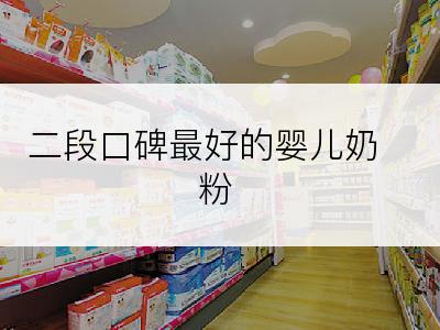 二段口碑最好的婴儿奶粉