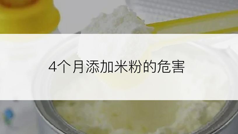 4个月添加米粉的危害