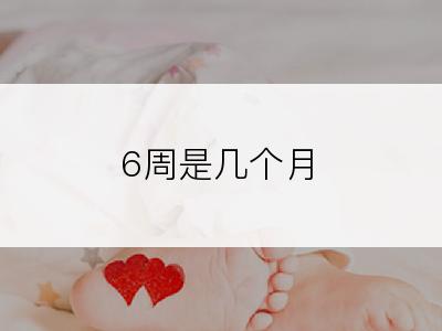 6周是几个月
