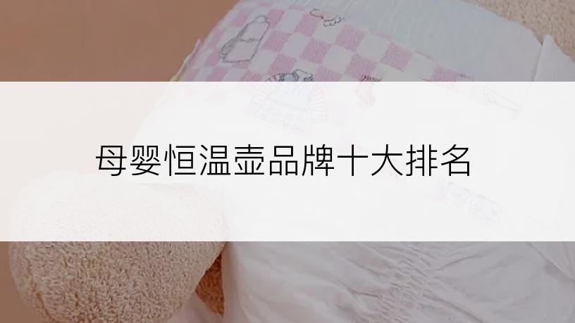 母婴恒温壶品牌十大排名