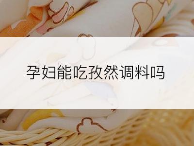 孕妇能吃孜然调料吗