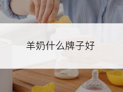 羊奶什么牌子好