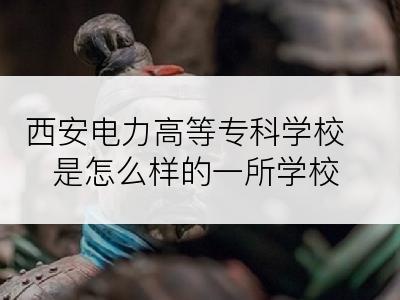 西安电力高等专科学校是怎么样的一所学校