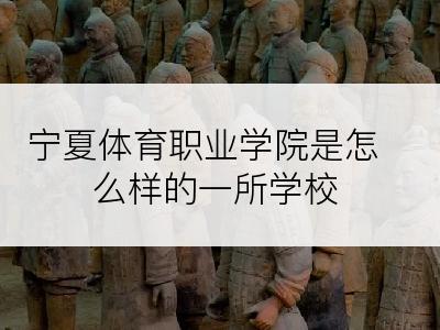 宁夏体育职业学院是怎么样的一所学校