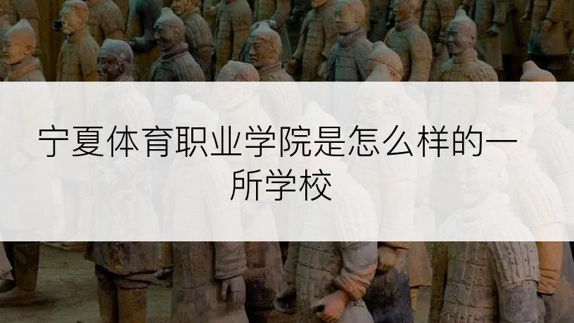 宁夏体育职业学院是怎么样的一所学校