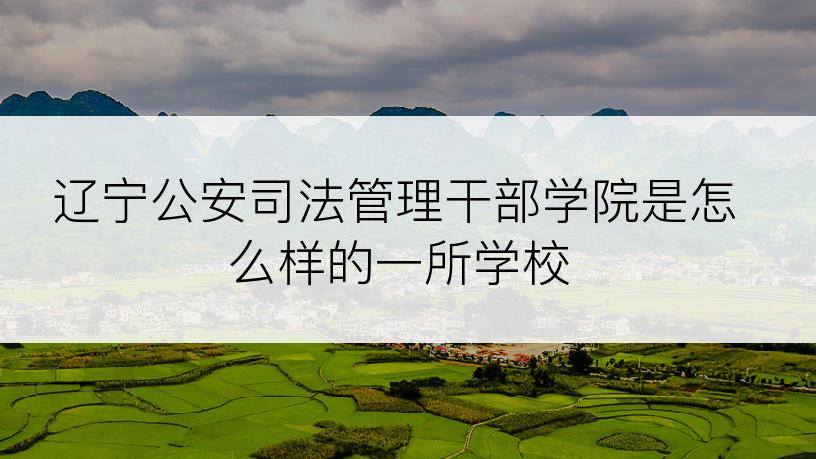 辽宁公安司法管理干部学院是怎么样的一所学校