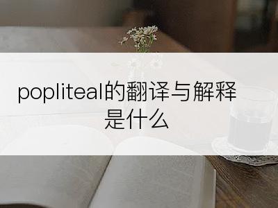 popliteal的翻译与解释是什么