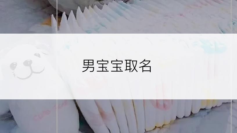 男宝宝取名