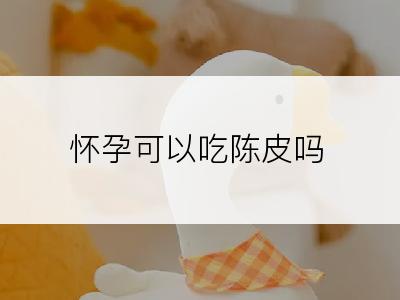 怀孕可以吃陈皮吗