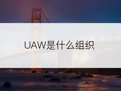 UAW是什么组织
