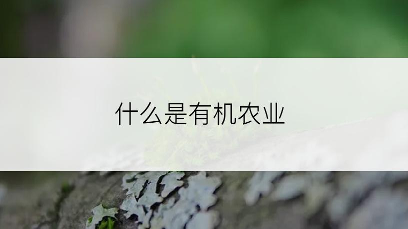 什么是有机农业