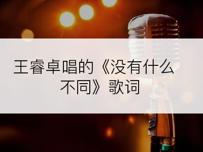 王睿卓唱的《没有什么不同》歌词