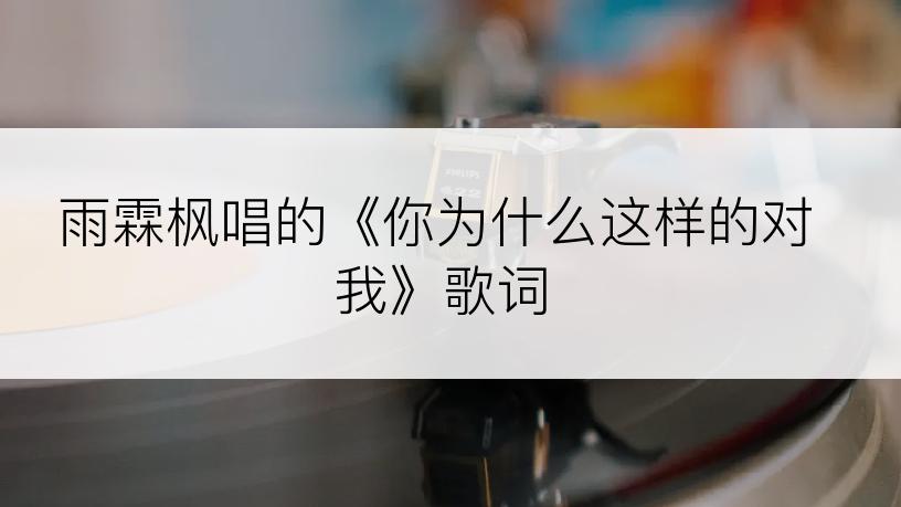 雨霖枫唱的《你为什么这样的对我》歌词