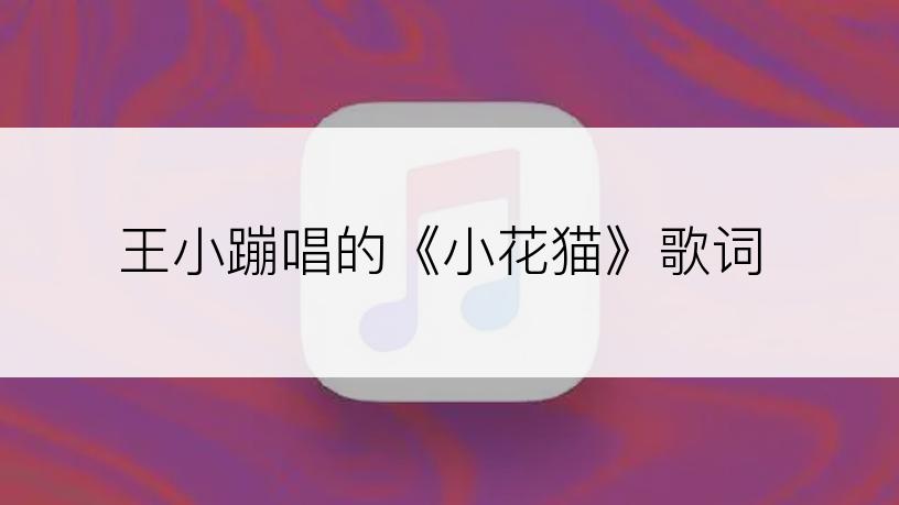 王小蹦唱的《小花猫》歌词