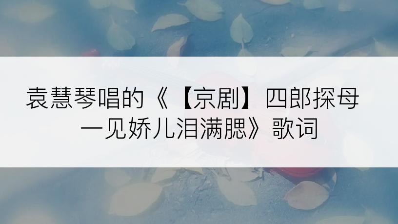 袁慧琴唱的《【京剧】四郎探母 一见娇儿泪满腮》歌词