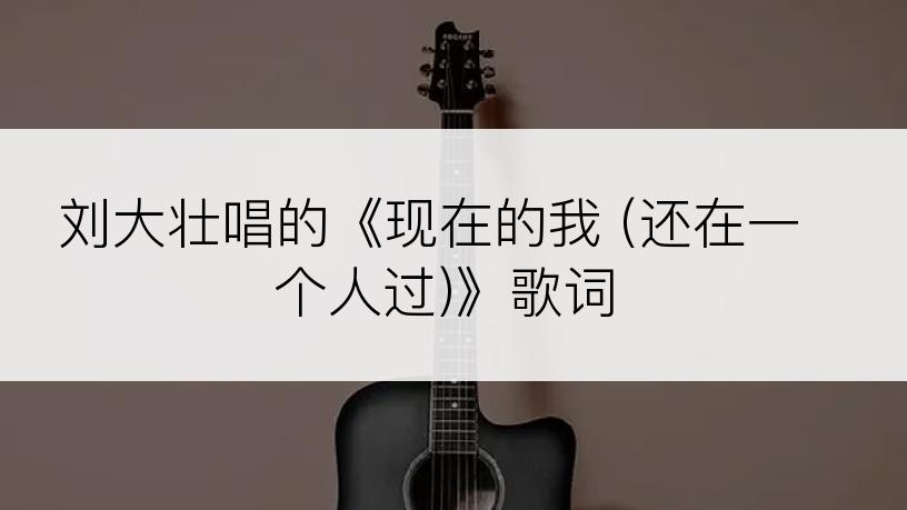 刘大壮唱的《现在的我 (还在一个人过)》歌词