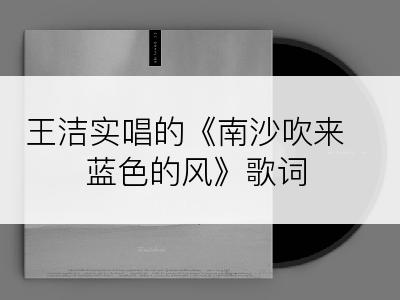 王洁实唱的《南沙吹来蓝色的风》歌词