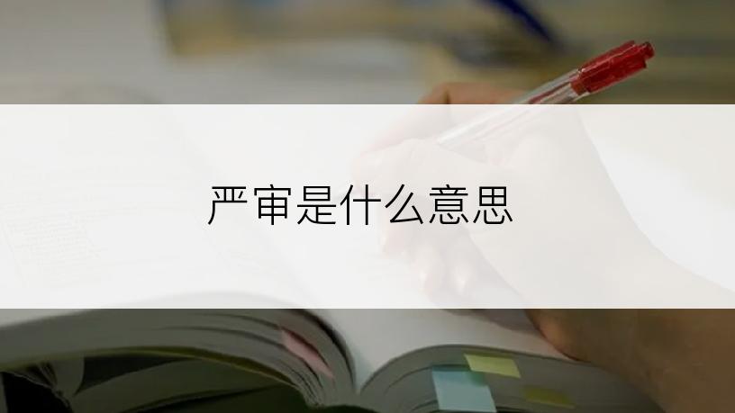 严审是什么意思