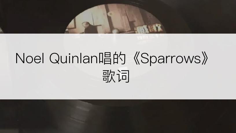 Noel Quinlan唱的《Sparrows》歌词