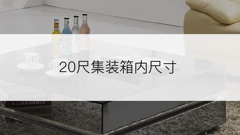 20尺集装箱内尺寸