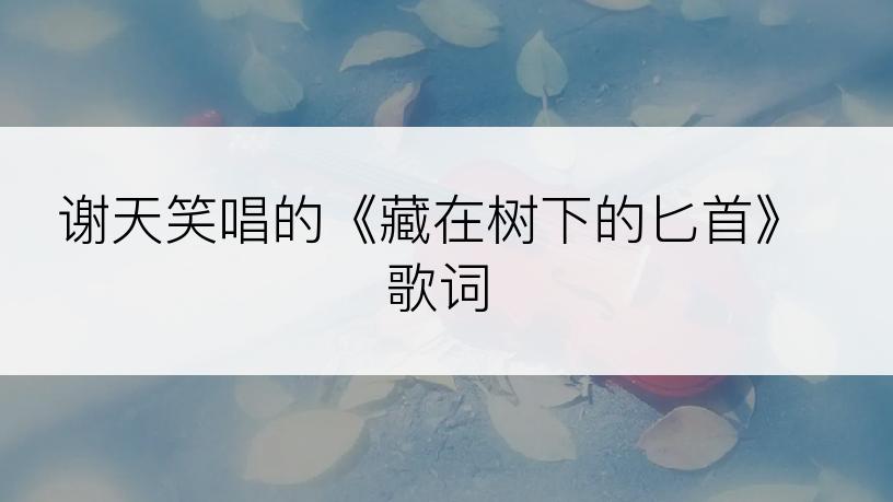 谢天笑唱的《藏在树下的匕首》歌词