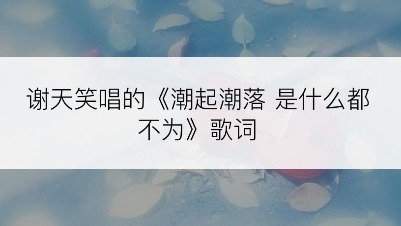 谢天笑唱的《潮起潮落 是什么都不为》歌词