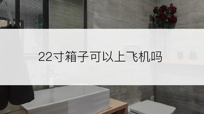 22寸箱子可以上飞机吗