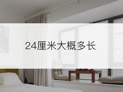 24厘米大概多长