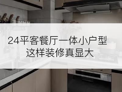 24平客餐厅一体小户型这样装修真显大