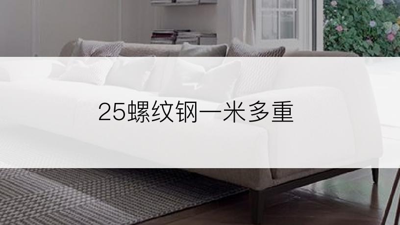 25螺纹钢一米多重