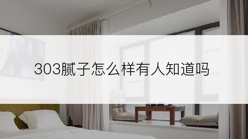 303腻子怎么样有人知道吗