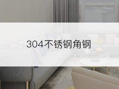 304不锈钢角钢